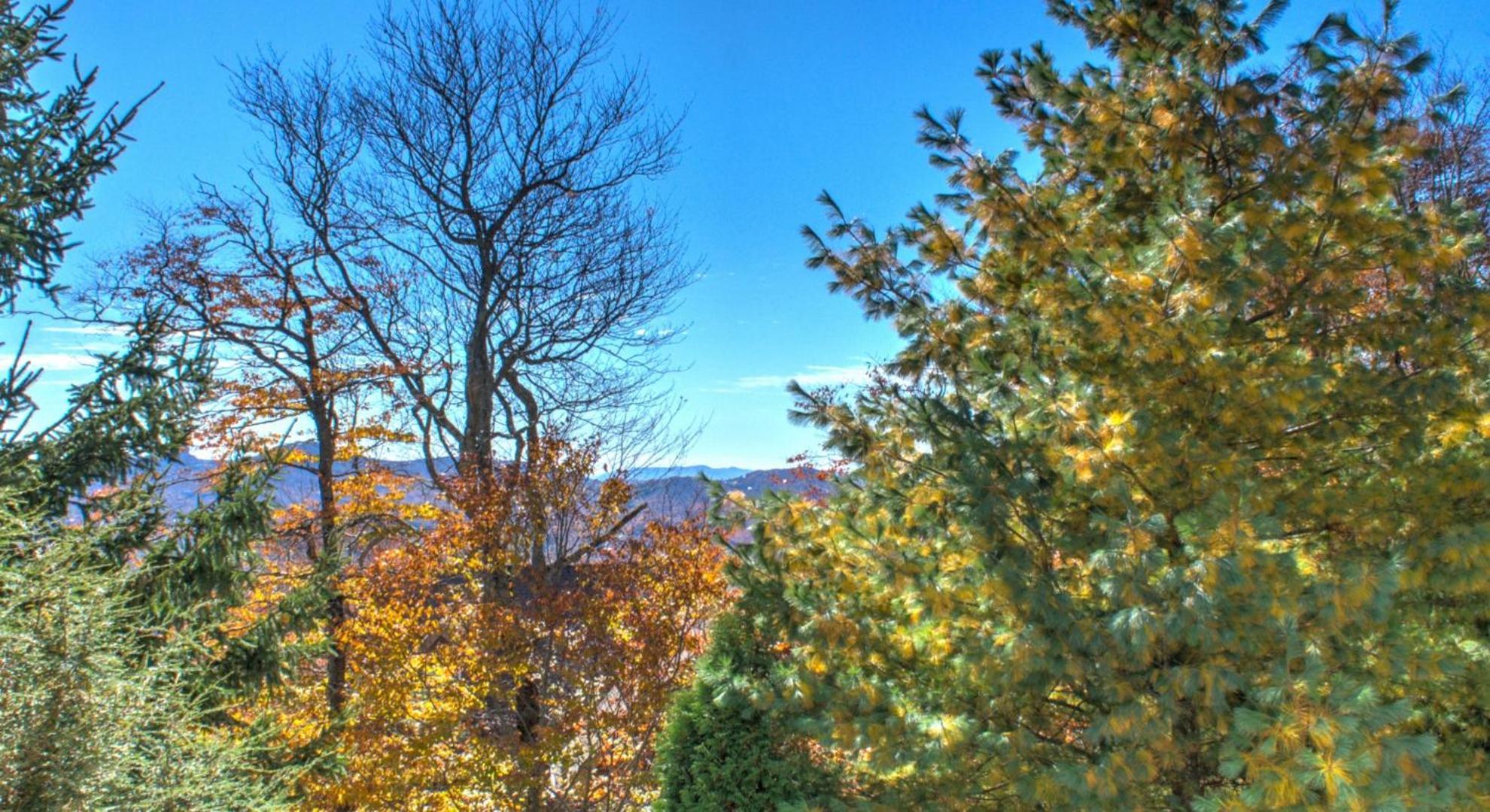 Klonteska Condominiums By Vci Real Estate Services Beech Mountain Oda fotoğraf